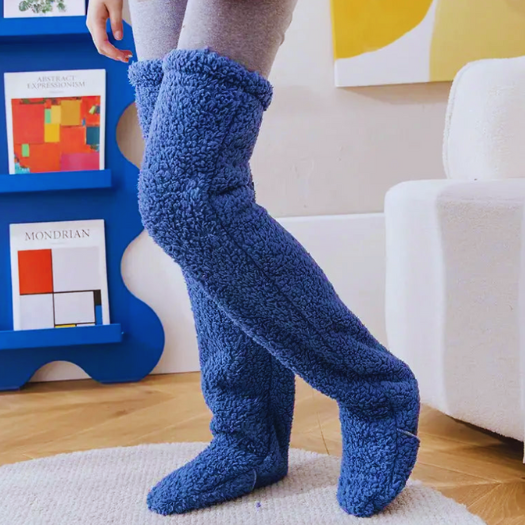 Teddy Socks - Design Studios Direct