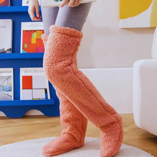 Teddy Socks - Design Studios Direct