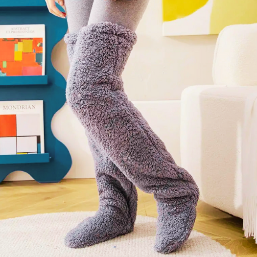 Teddy Socks - Design Studios Direct