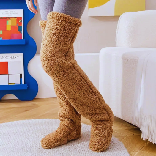 Teddy Socks - Design Studios Direct