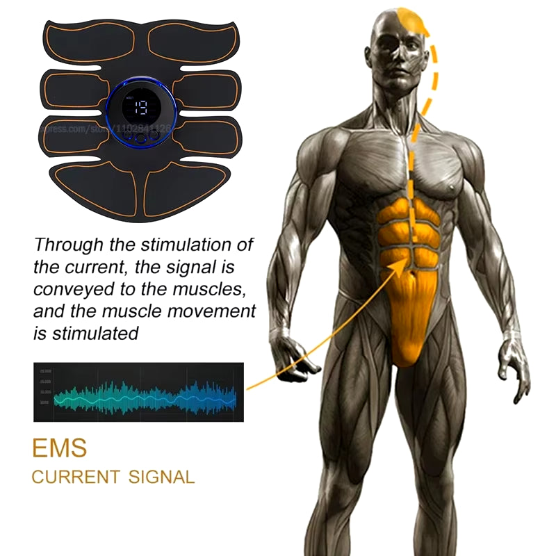 USB Rechargable EMS Muscle Stimulator Electric Massage Therapy Pain Relief Digital Meridian Full Body Massager Fitness - Design Studios Direct