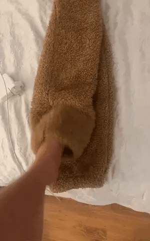 Teddy Socks - Design Studios Direct