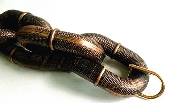 Dog Leash Iron Chain - Design Studios Direct