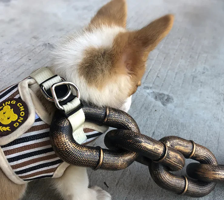 Dog Leash Iron Chain - Design Studios Direct