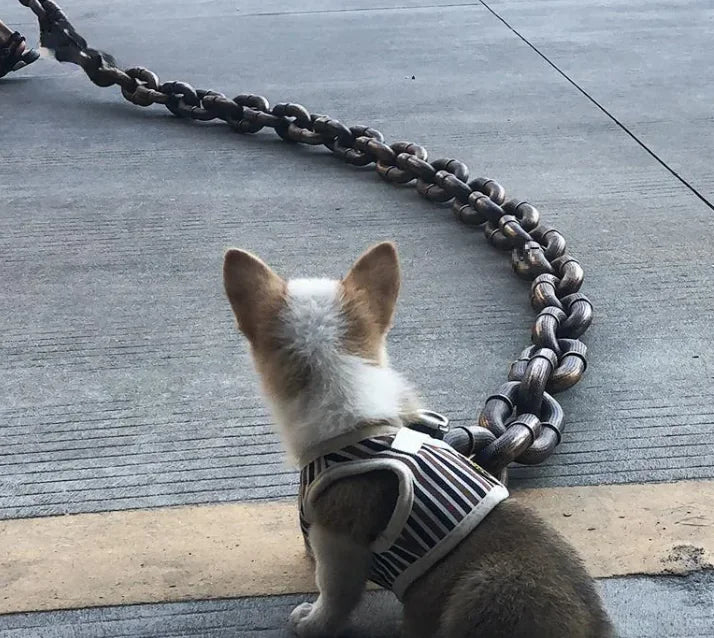 Dog Leash Iron Chain - Design Studios Direct