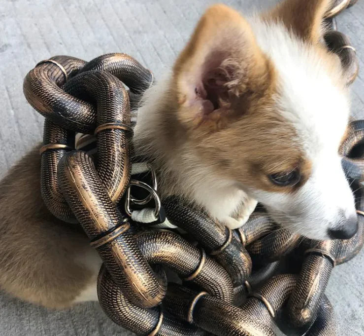 Dog Leash Iron Chain - Design Studios Direct