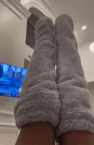 Teddy Socks - Design Studios Direct