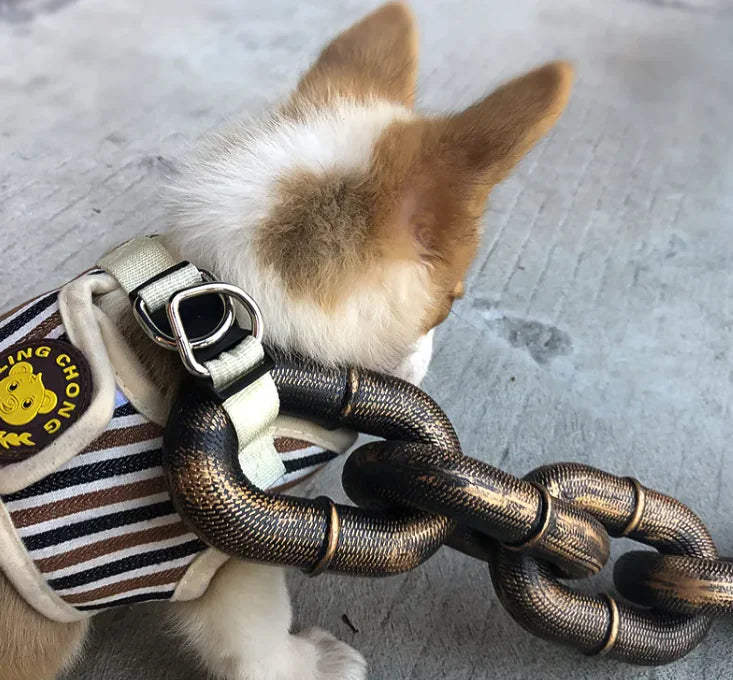 Dog Leash Iron Chain - Design Studios Direct