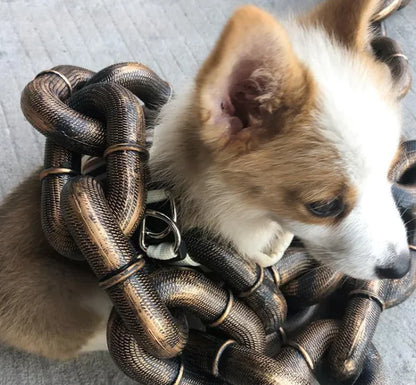 Dog Leash Iron Chain