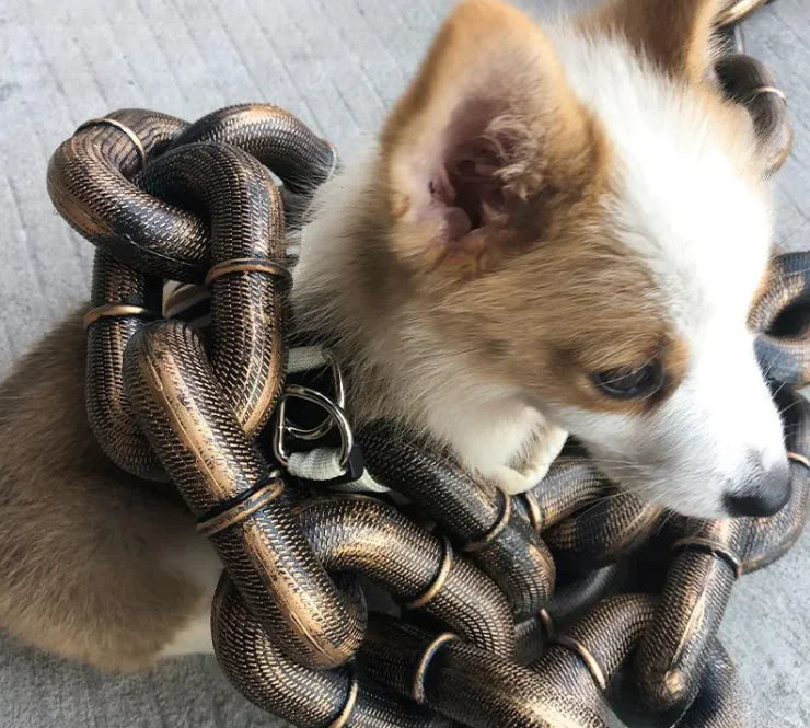 Dog Leash Iron Chain